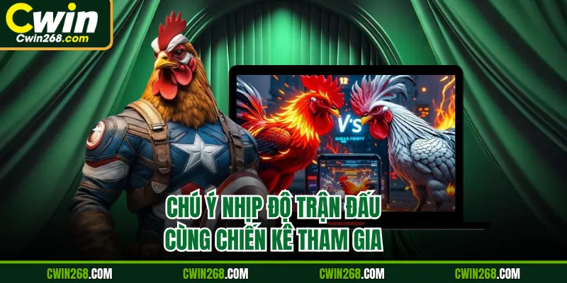 Chú ý nhịp độ trận đấu cùng chiến kê tham gia