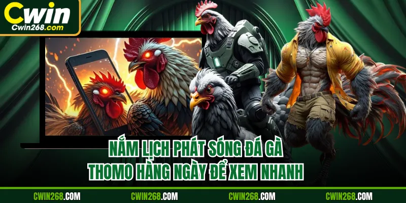 Nắm lịch phát sóng đá gà Thomo hàng ngày để xem nhanh