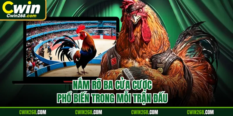 Nắm rõ ba cửa cược phổ biến trong mỗi trận đấu