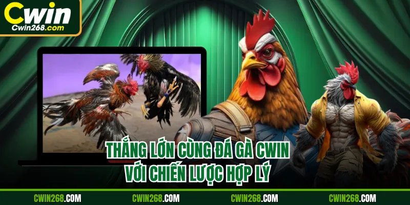 Thắng lớn cùng đá gà CWIN với chiến lược hợp lý