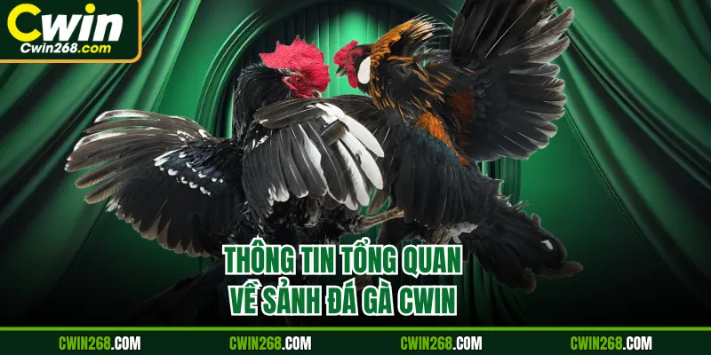 Thông tin tổng quan về sảnh đá gà Cwin